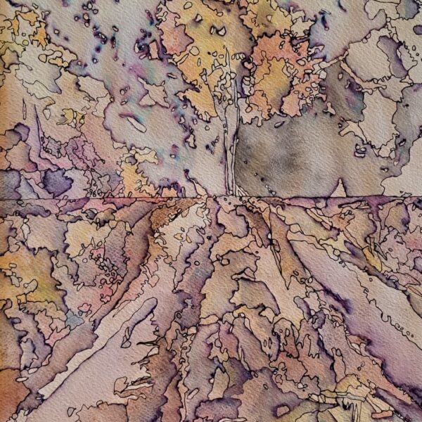 Opera 5